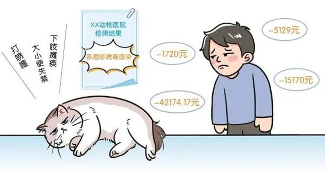 3萬買貓后續(xù)治療費(fèi)6萬法院判了！(圖3)